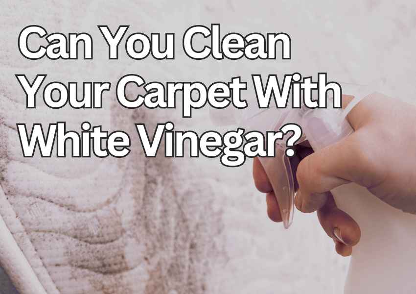 White Vinegar Carpet Cleaning