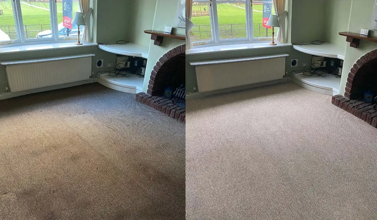 Carpet Cleaning Before and After