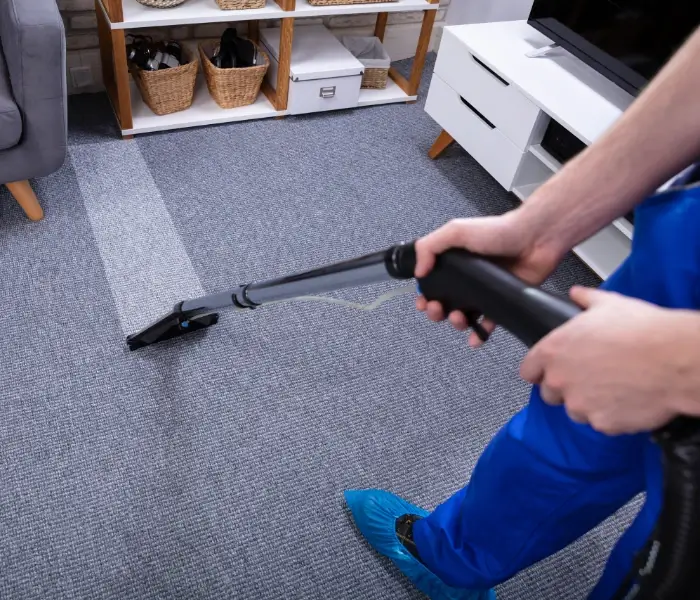 Carpet cleaning services